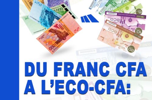 Livre: DU FRANC CFA A L'ECO-CFA, la pérennisation du néocolonialisme français